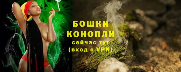 шишки Елабуга