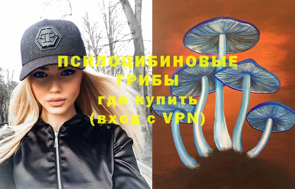 шишки Елабуга