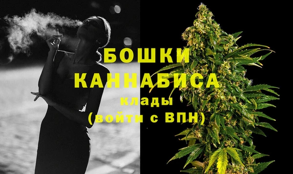 шишки Елабуга