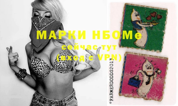 спайс Ельня