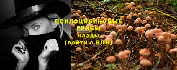 шишки Елабуга