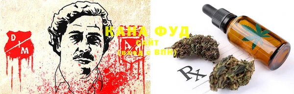 спайс Ельня