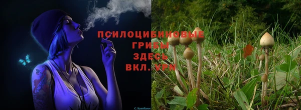 мескалин Елизово