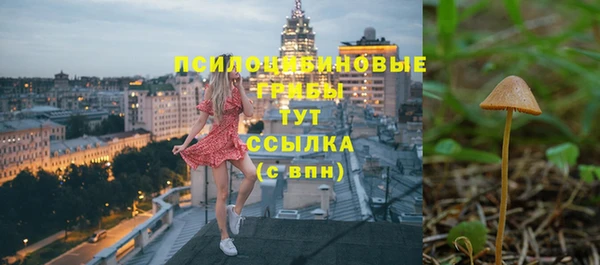 спайс Ельня
