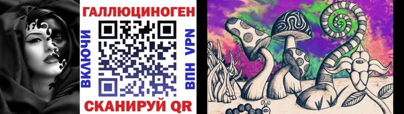 магазин  наркотиков  Славгород  Псилоцибиновые грибы Psilocybine cubensis 